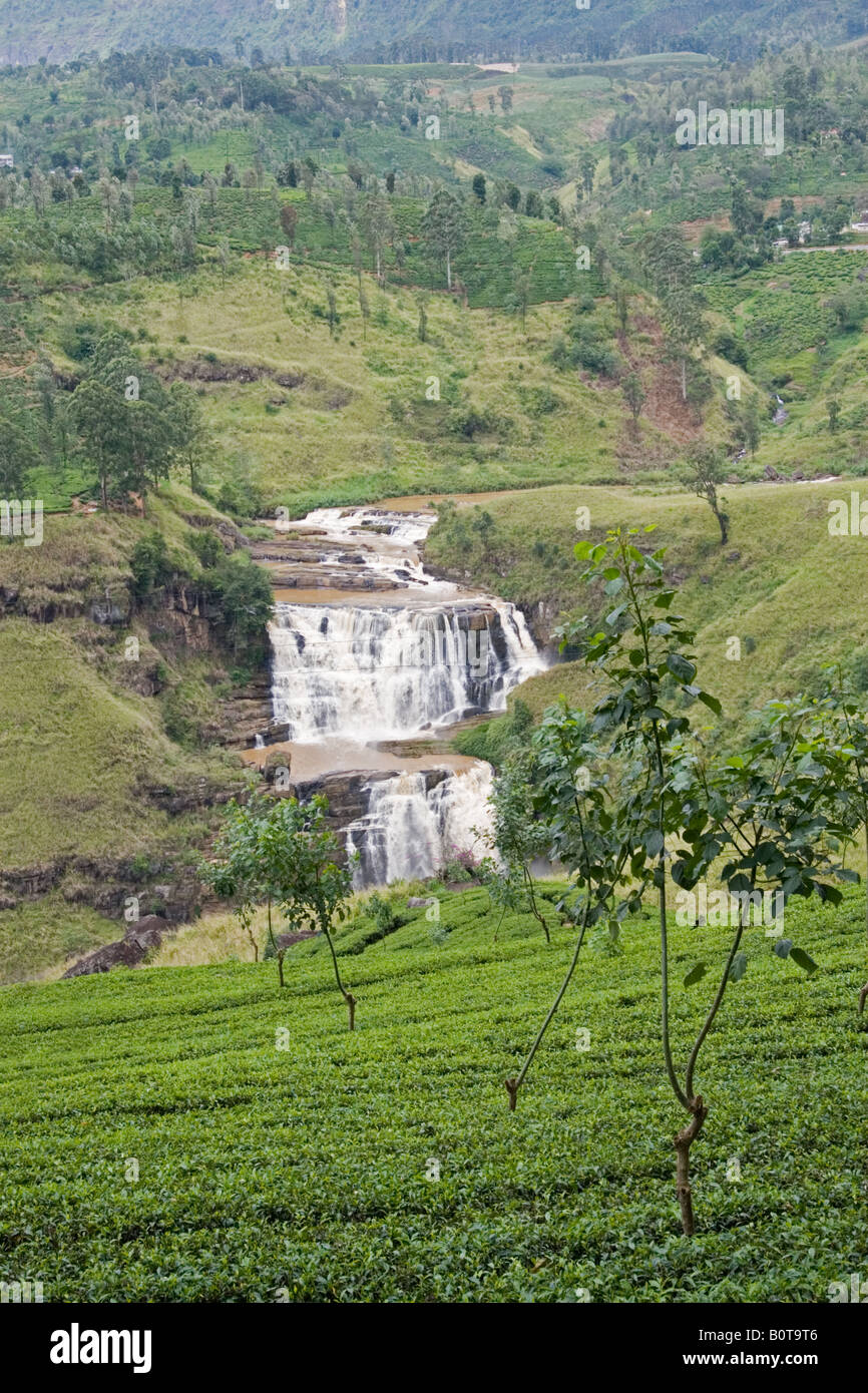 St Clair waterfall and tea estate near Talawakele viewed from the road to Nuwara Eliya, Sri