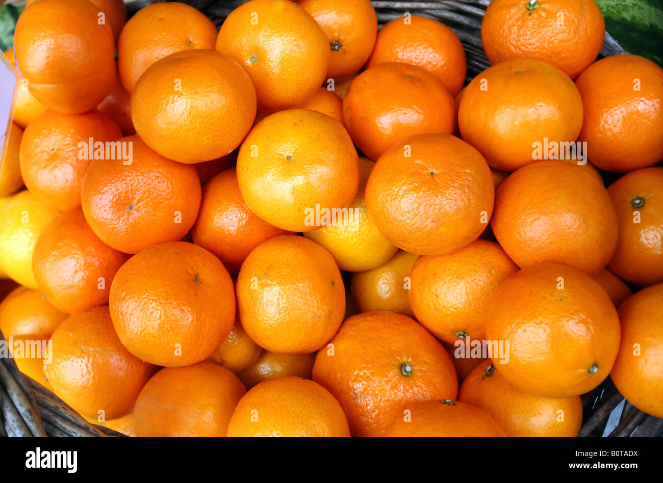 Big oranges. Мандарины Турция 1.6-1.8 кг. Мандарины Клеменголд. Мандарины Турция 1кгзелёные. Мандарины Измир.