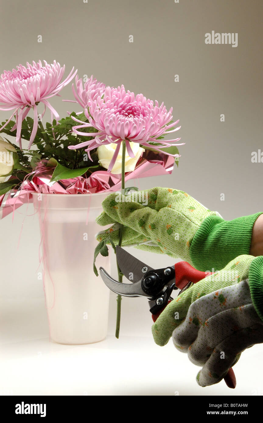 Flower Shop Arrangement Stock Photo - Alamy