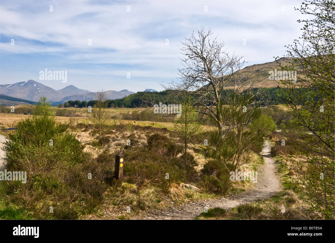 The West Highland Way at Cononish near Tyndrum in the West Highlands of Scotland with Ben More & Stob Binnein in the background Stock Photo