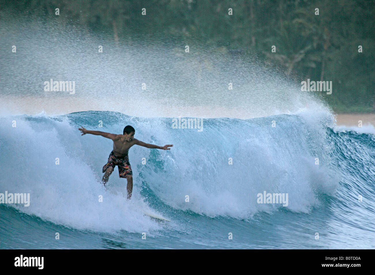 Hawaii island surfer hi-res stock photography and images - Alamy