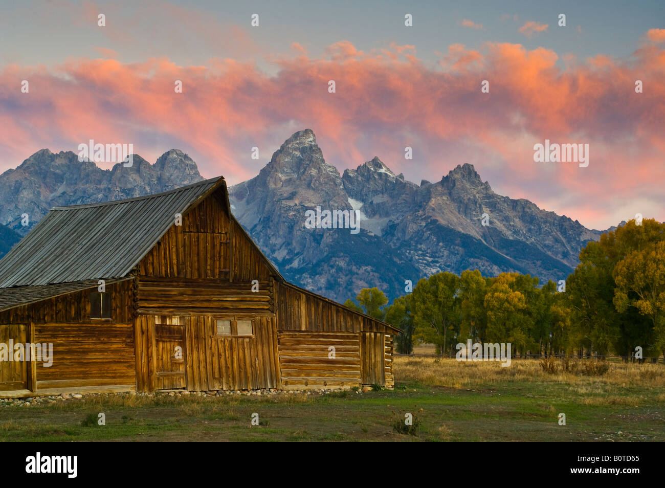 Pink clouds at dawn over mountains old wooden barn and trees in Fall along Mormon Row Grand Teton National Park Wyoming Stock Photo