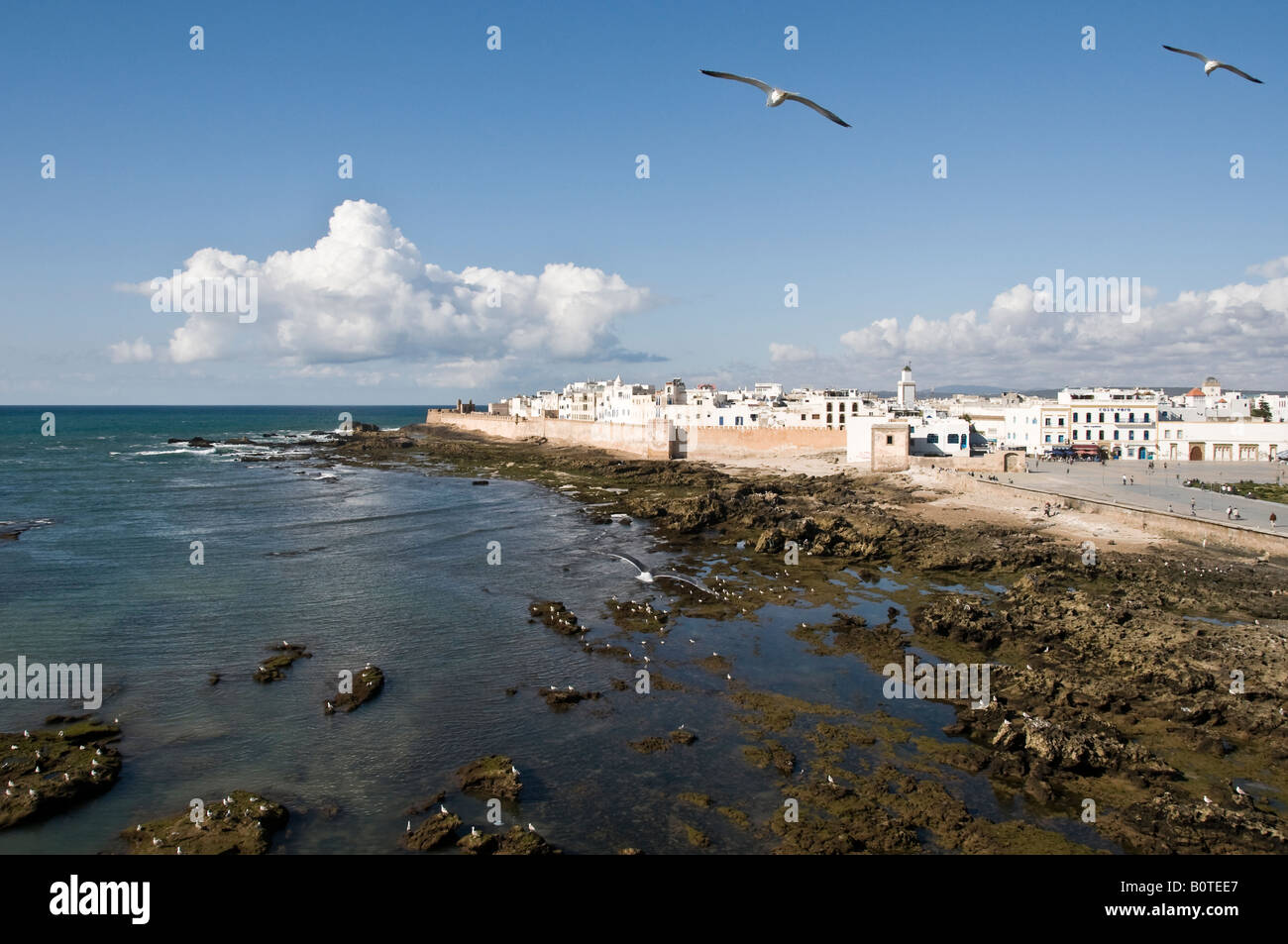15 08 08 Essaouira Morocco View from the old port fort Photo Simon Grosset Stock Photo