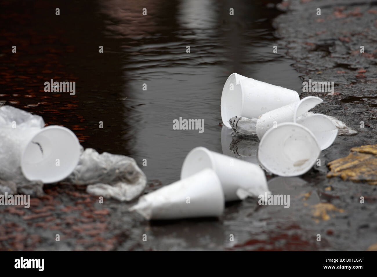 discarded polystyrene styrofoam cups lying by a puddle in the road Stock Photo