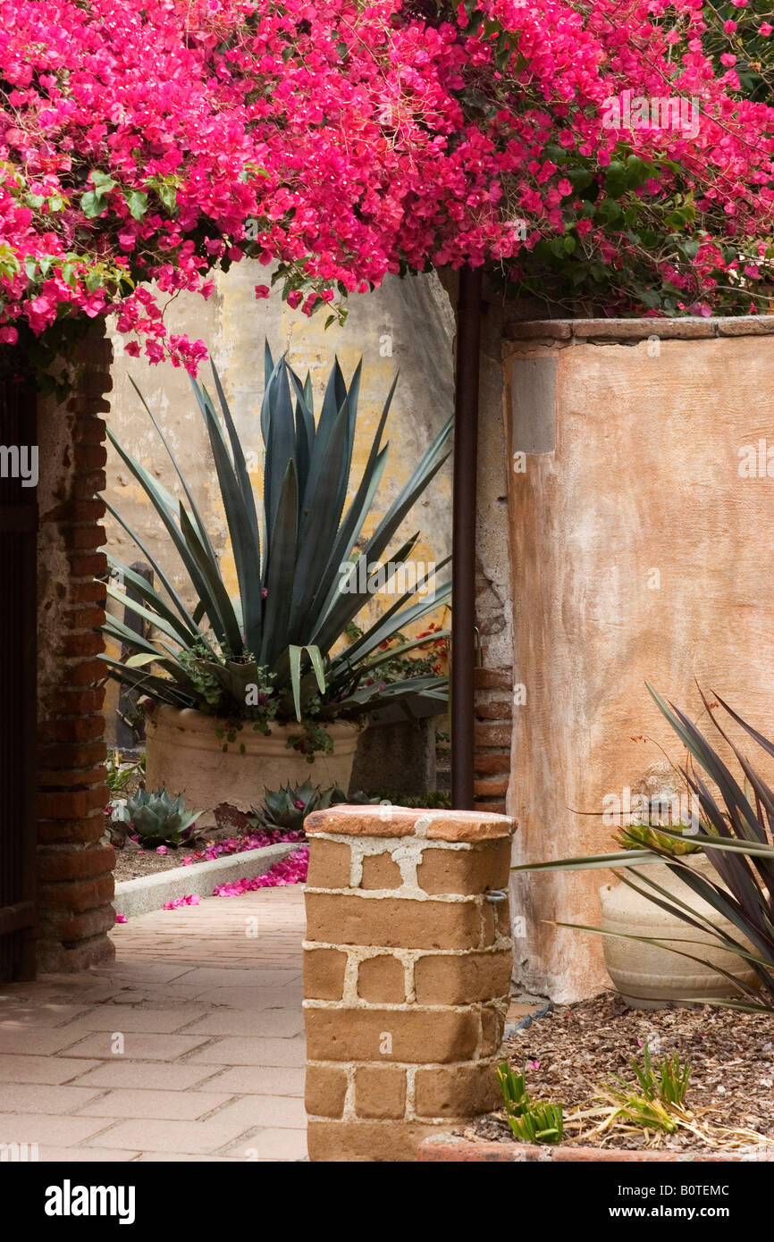 A view of a gate and agave plant on the grounds of Mission San Juan