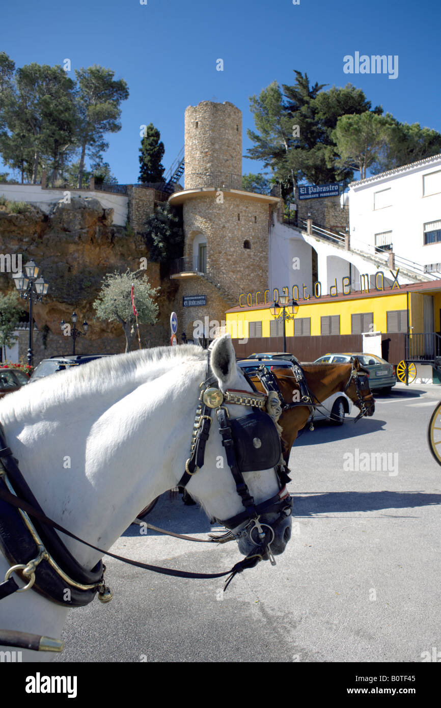 Horse waits patently Mijas Pueblo, Costa del Sol, Andalucia, Spain Stock Photo