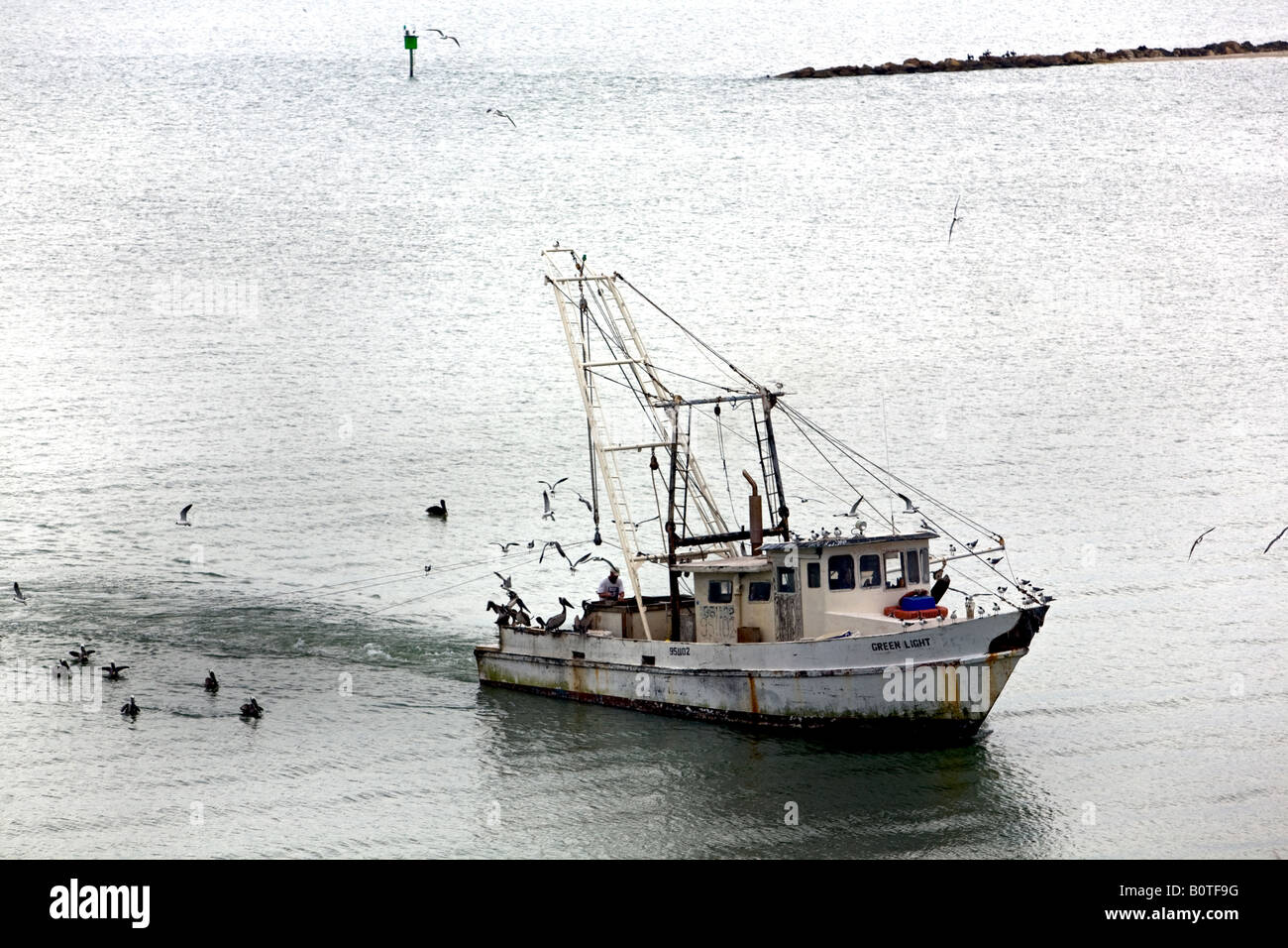 Shrimp Boat in Corpus Christi Bay, Texas. Seagulls and pelicans flying looking for food. Stock Photo