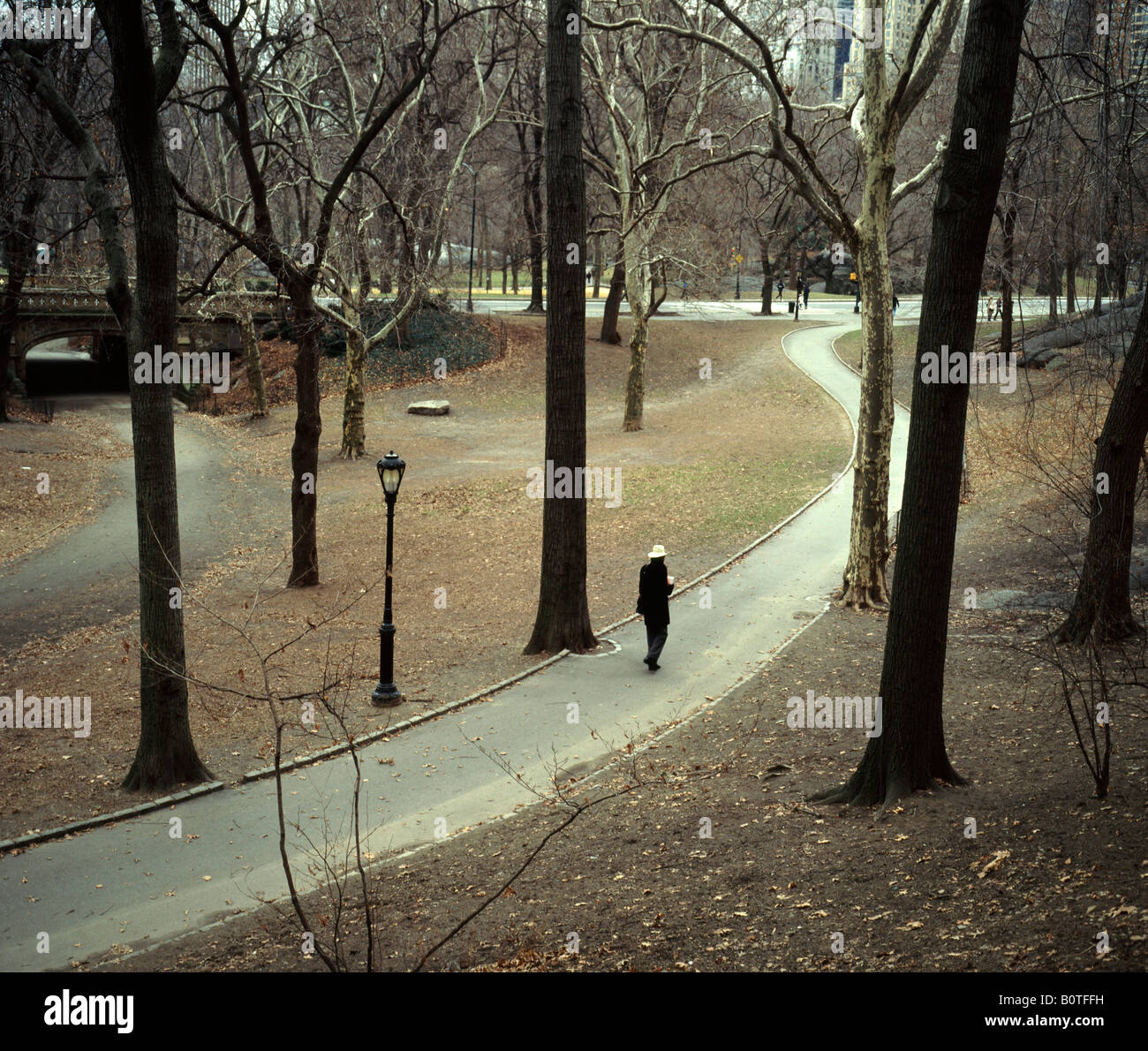 Winter february Central Park NY.Lone walker with his own thoughts on the path among leafless trees Stock Photo