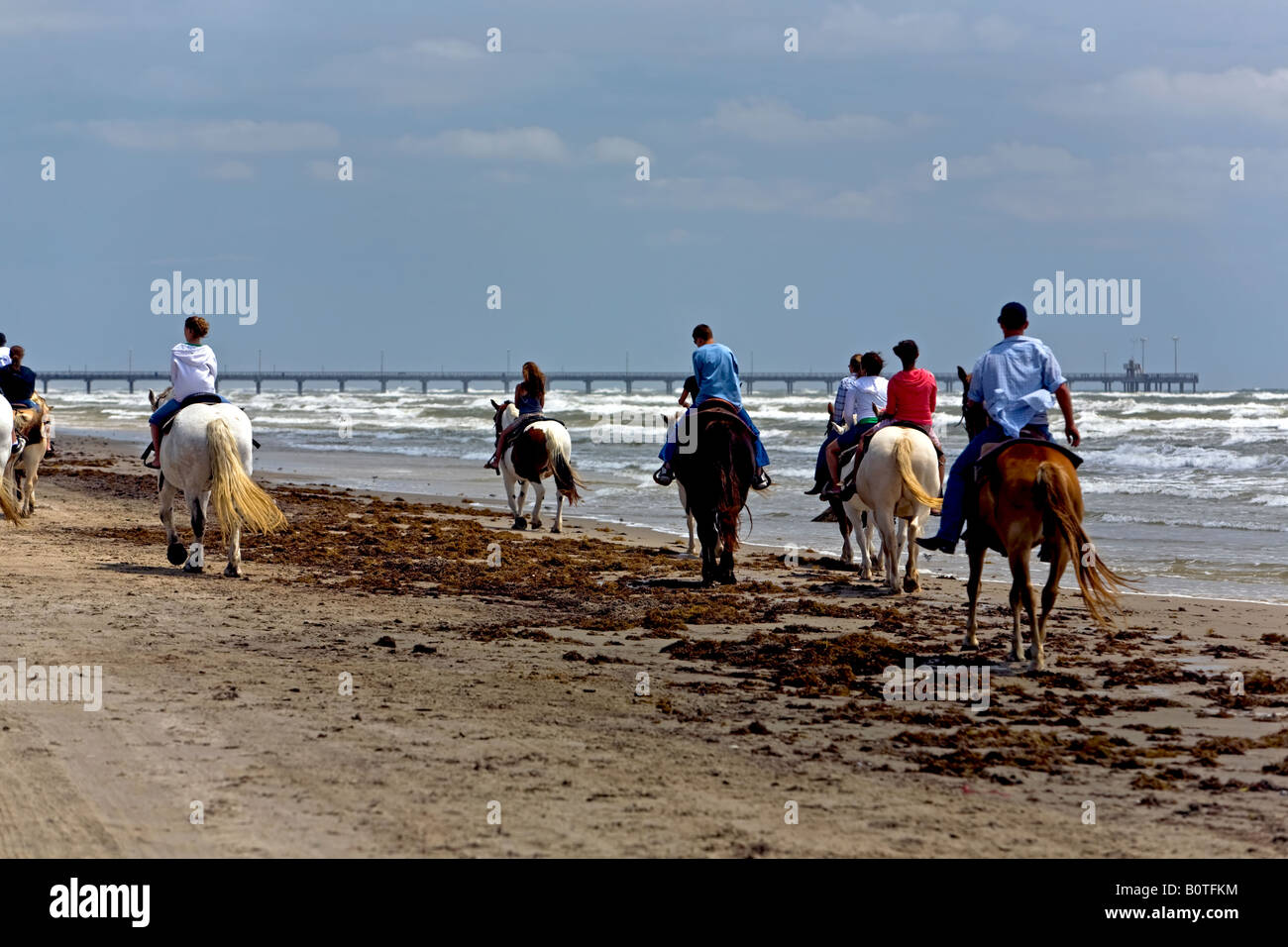 Corpus christi texas horse hires stock photography and images Alamy