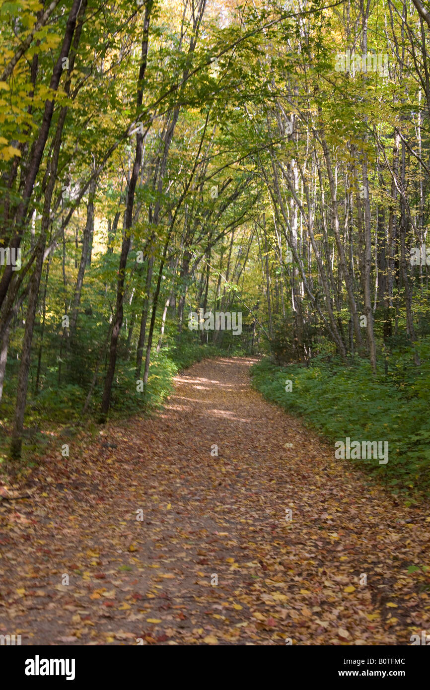 Autumn Forest Trail In The Laurentides Stock Photo Alamy