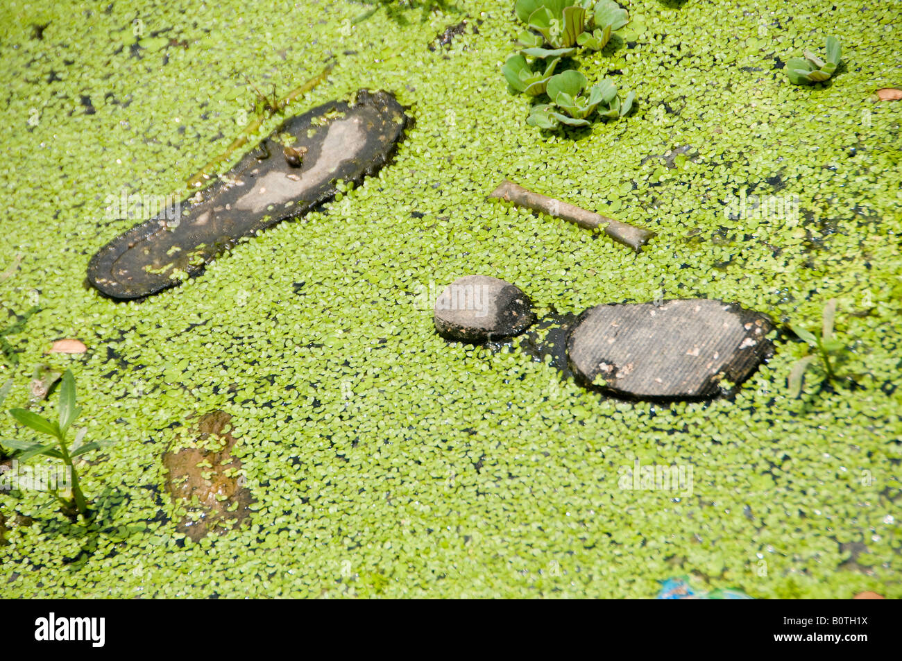 Deserted shoes in a flooded rural area near the city of Yangon Republic of the Union of Myanmar Stock Photo