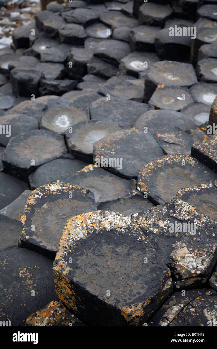 red basalt hexagonal rock formations at the giants causeway county antrim northern ireland uk Stock Photo