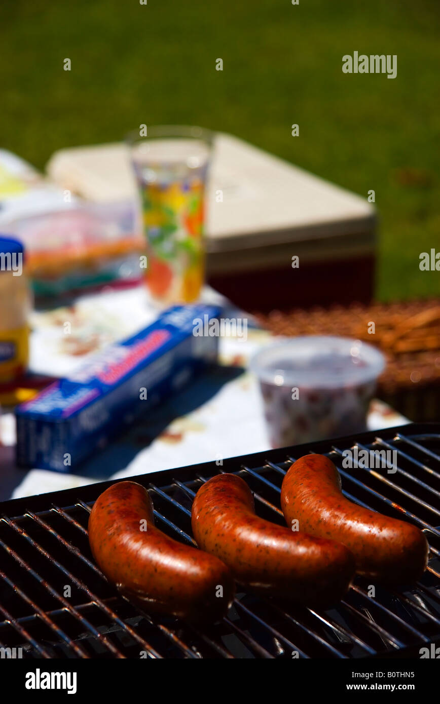 Vancouver Canada Lower Mainland Outdoor Portable Barbeque Cooking