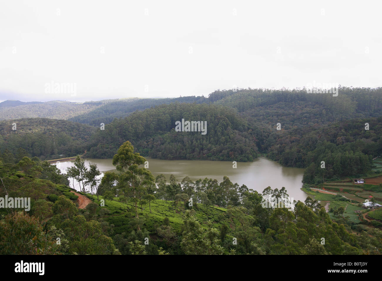 Spectacular view of a tea plantation in near Nuwara Eliya, Sri Lanka with a lake and misty mountain backdrop. Stock Photo