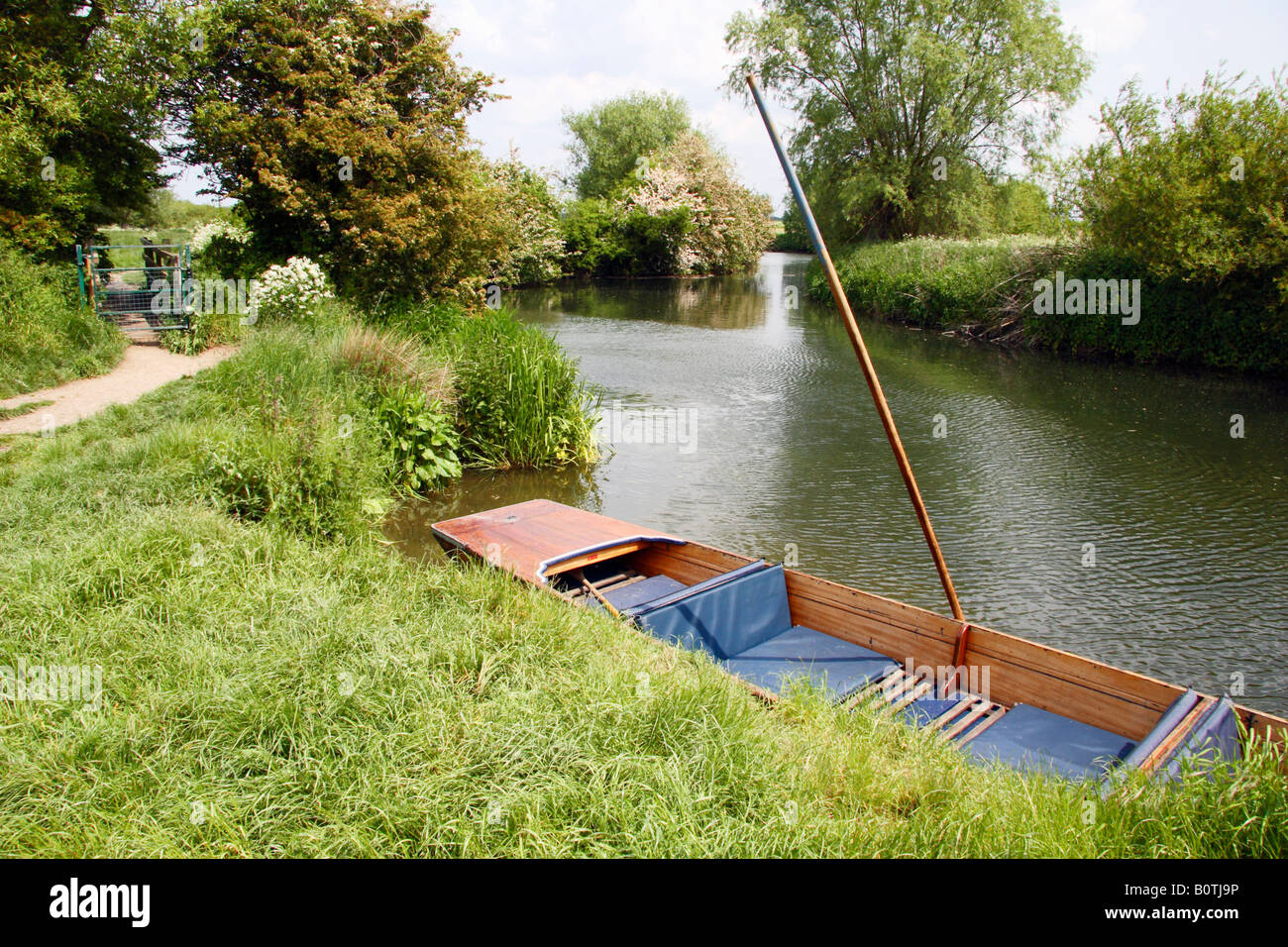 A Punt moored at Grantchester Meadows near Cambridge. Stock Photo