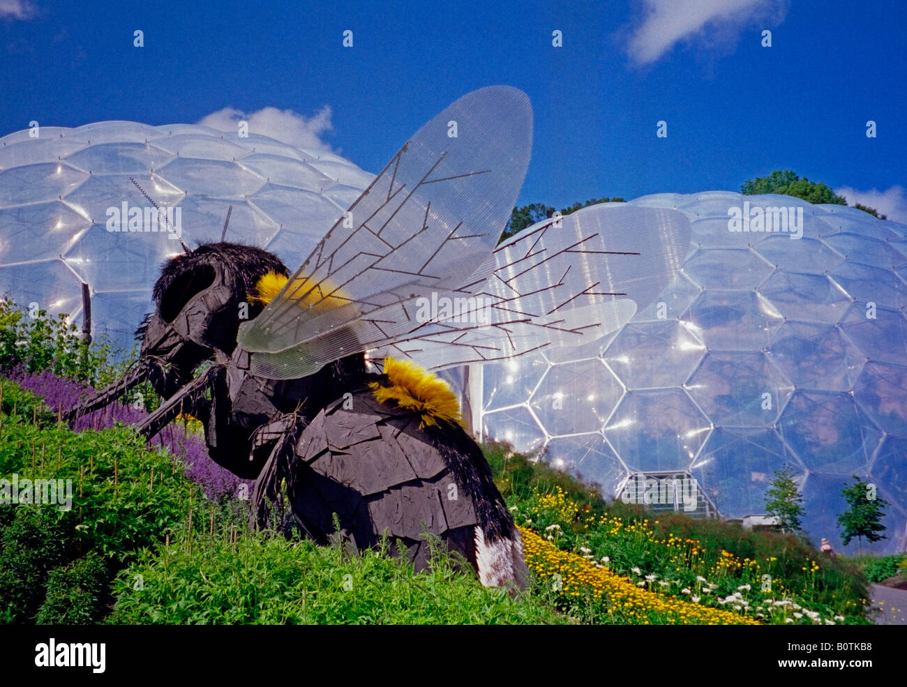 'Big Bee', Eden Project, Cornwall, England Stock Photo