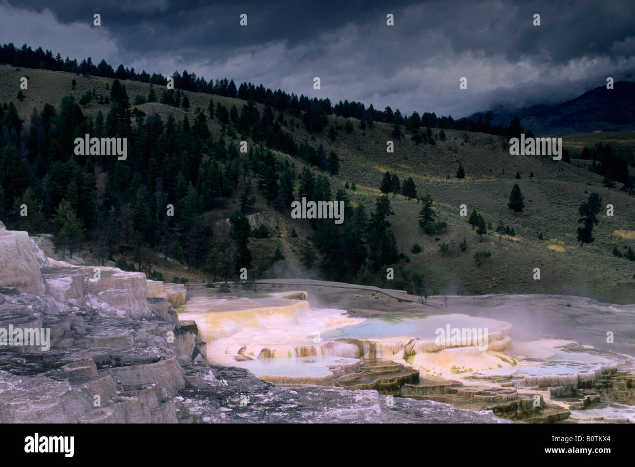 Travertine formations Minerva Spring Mammoth Hot Springs Region Yellowstone National Park WYOMING Stock Photo