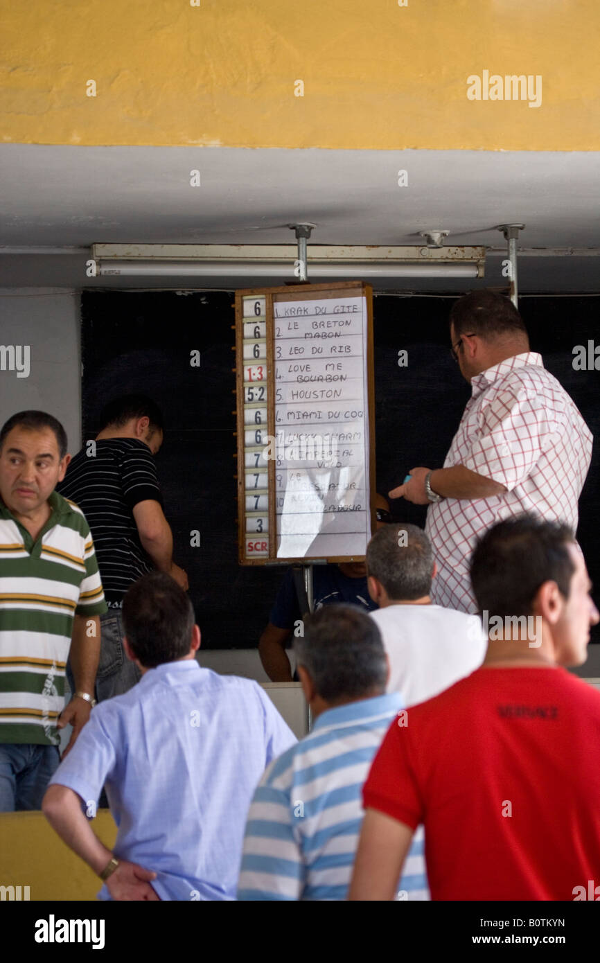 Racetrack Malta Horse Racing Club High Resolution Stock ...