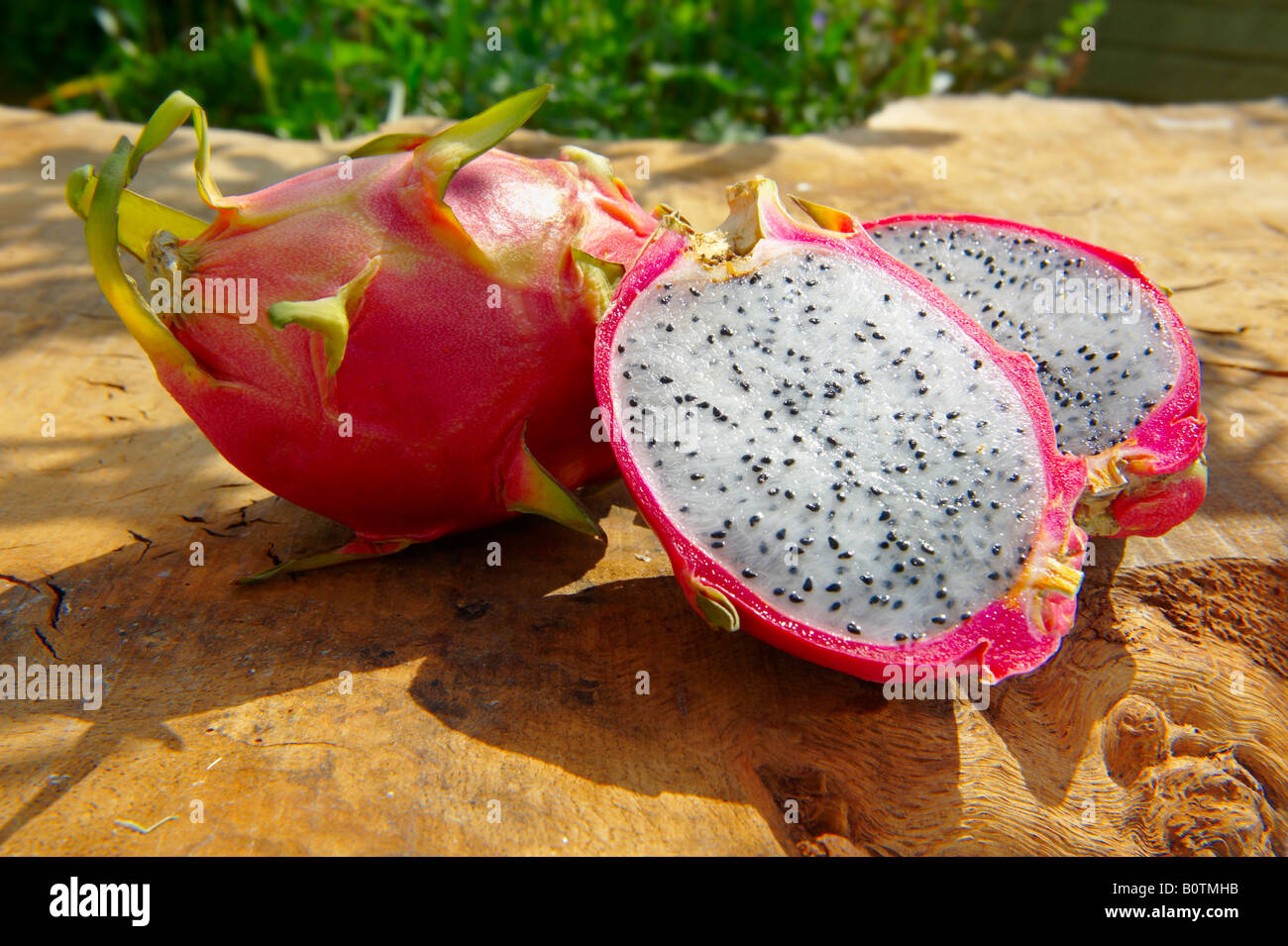 Close up of fresh whole and cut  pitaya, pitahaya or dragon fruit in a table setting outdoors Stock Photo