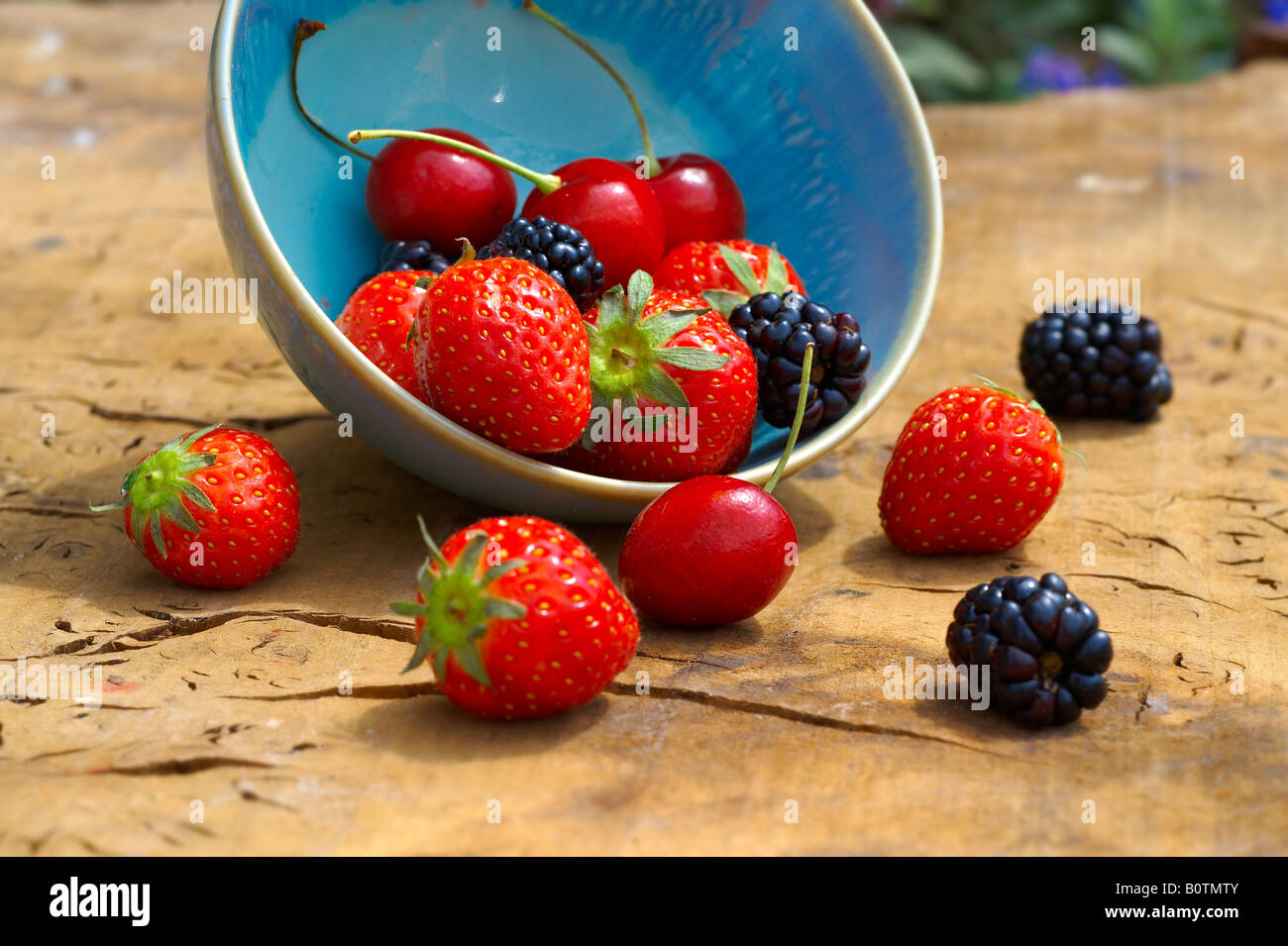 bowl of fresh picked summer soft fruit on a wooden garden table, cherry, strawberry and blackberry Stock Photo
