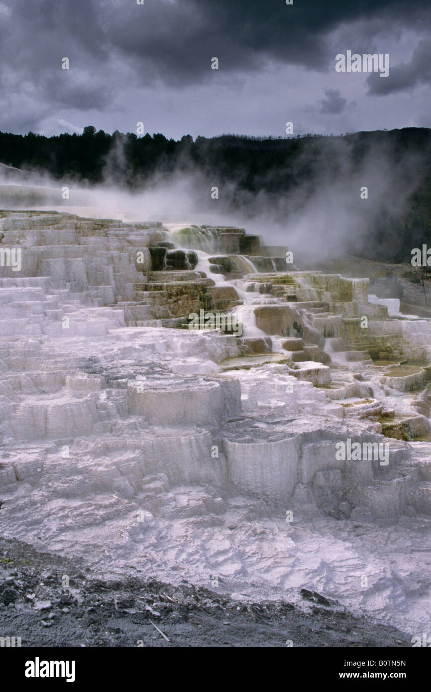 Minerva Spring Mammoth Hot Springs Region Yellowstone National Park WYOMING Stock Photo