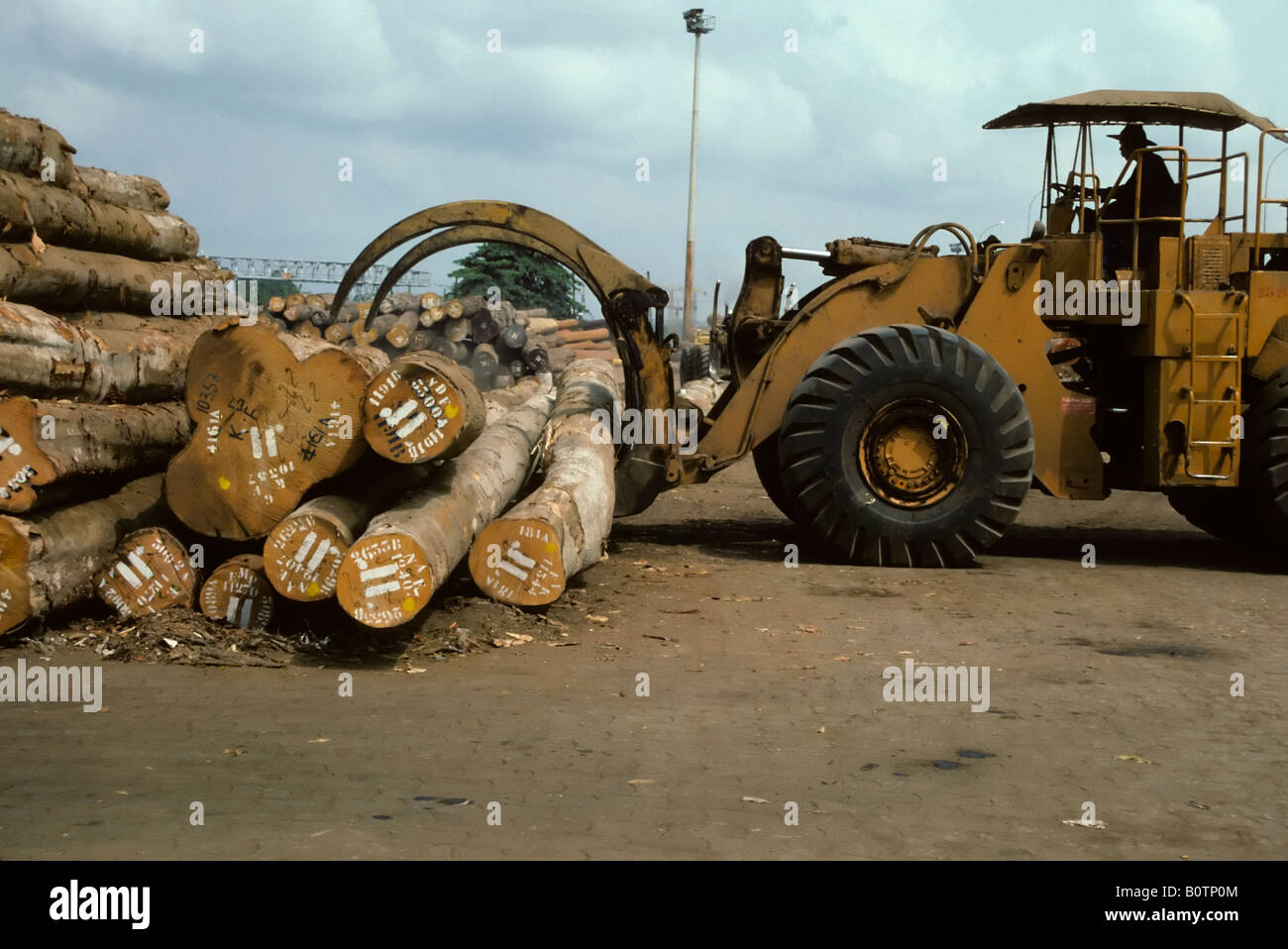 Abidjan, Ivory Coast, Cote d'Ivoire, Moving Tropical Timber for Export ...