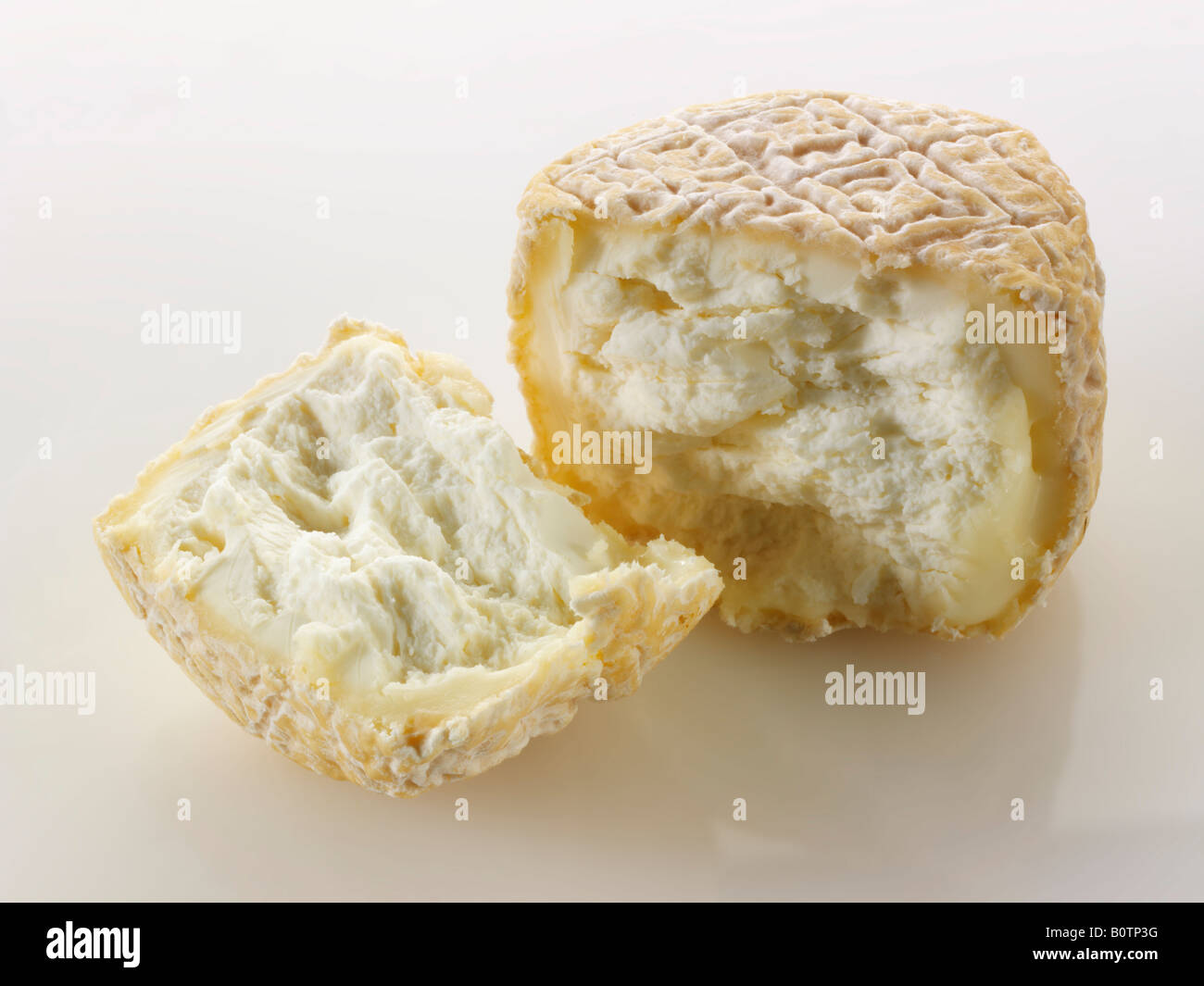 farm goats cheese from Normandy France on a white background Stock Photo Alamy