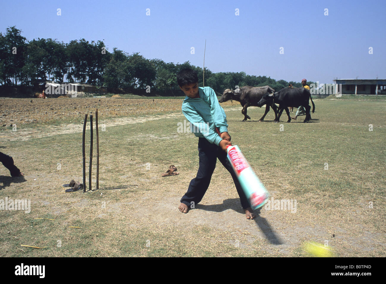 Rural cricket in a village in Bangladesh Stock Photo Alamy
