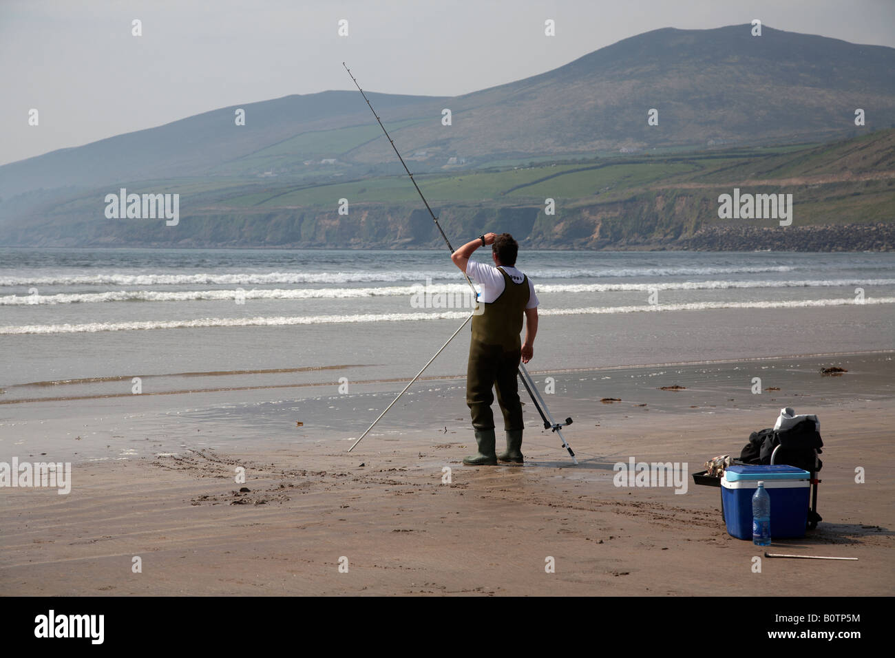 man seafishing for seabass looking at the tip of his rod for a bite indication on inch strand beach county kerry dingle peninsul Stock Photo