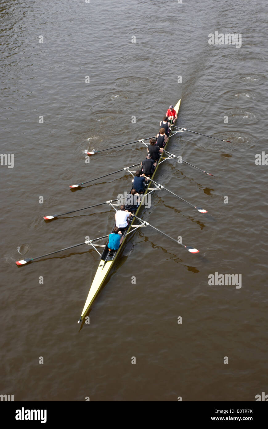 Rowing Boat and Crew on the River Thames Stock Photo
