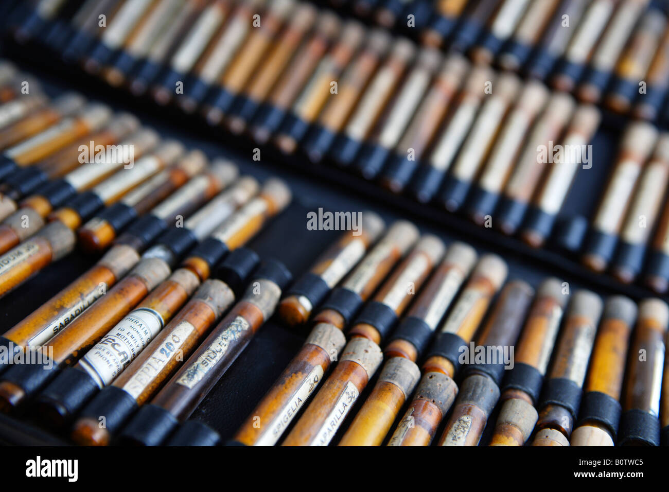 Old vials of homeopathic medication, in a row, close up Stock Photo
