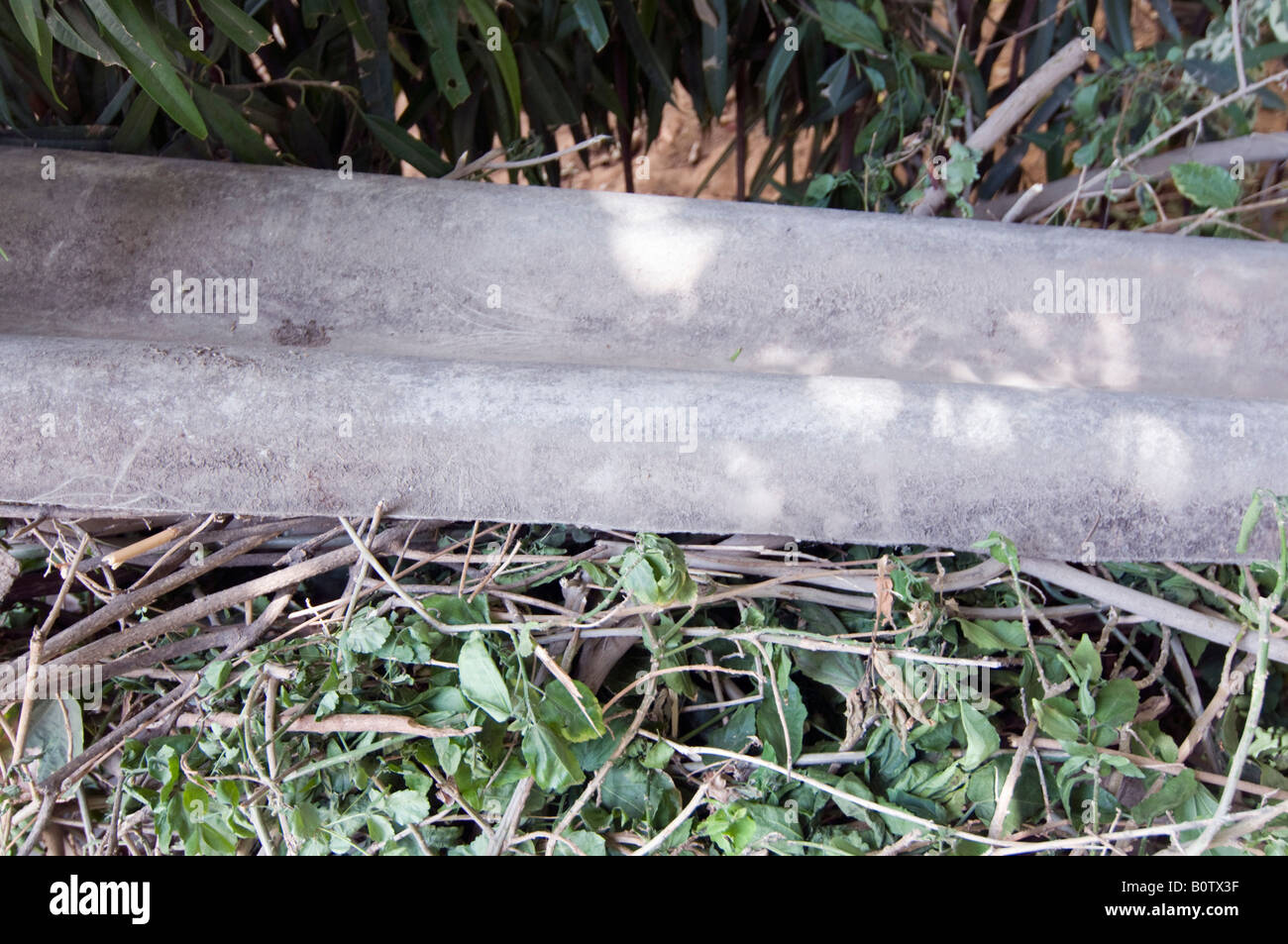 Corrugated asbestos board dumped on a pile of garden debris Stock Photo
