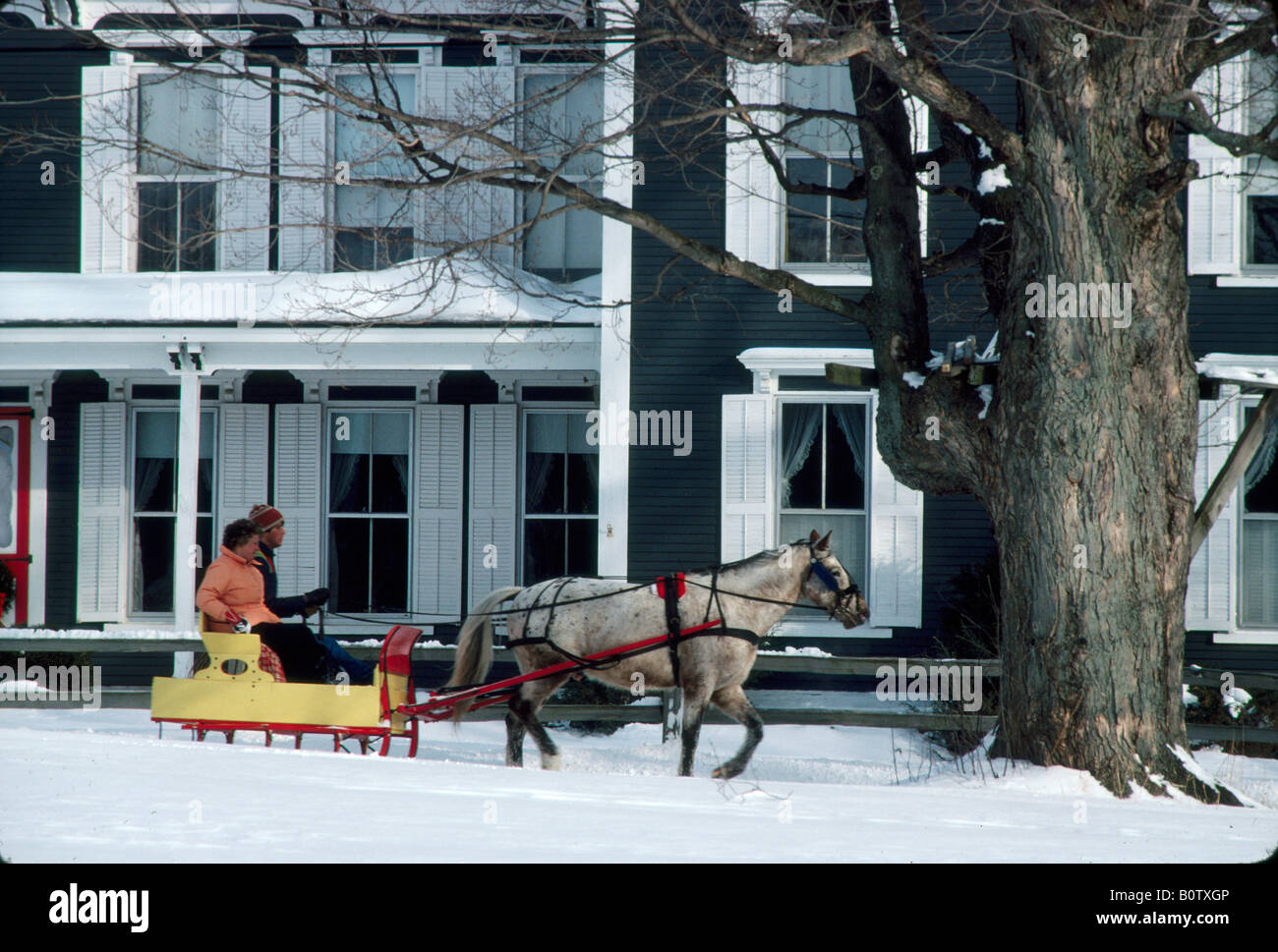 Horse and sleigh in Jericho Vt Stock Photo