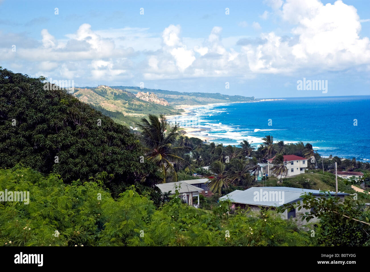 Houses surrounded by Tropical Vegetation on Bathsheba Beach Barbados