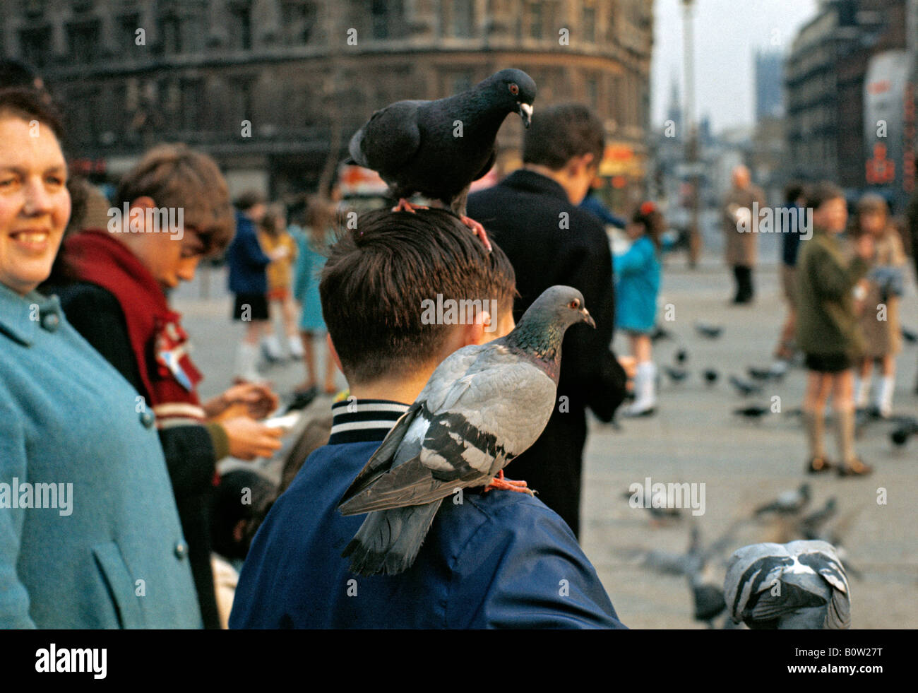 Pigeons perched on boy's head & shoulder at Trafalgar Square, London, England. (circa 1975) Stock Photo