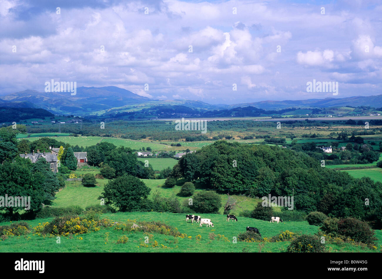 Cumbria Cumbrian Landscape view to Duddon Sands English scenery travel England UK green fields mountains Stock Photo