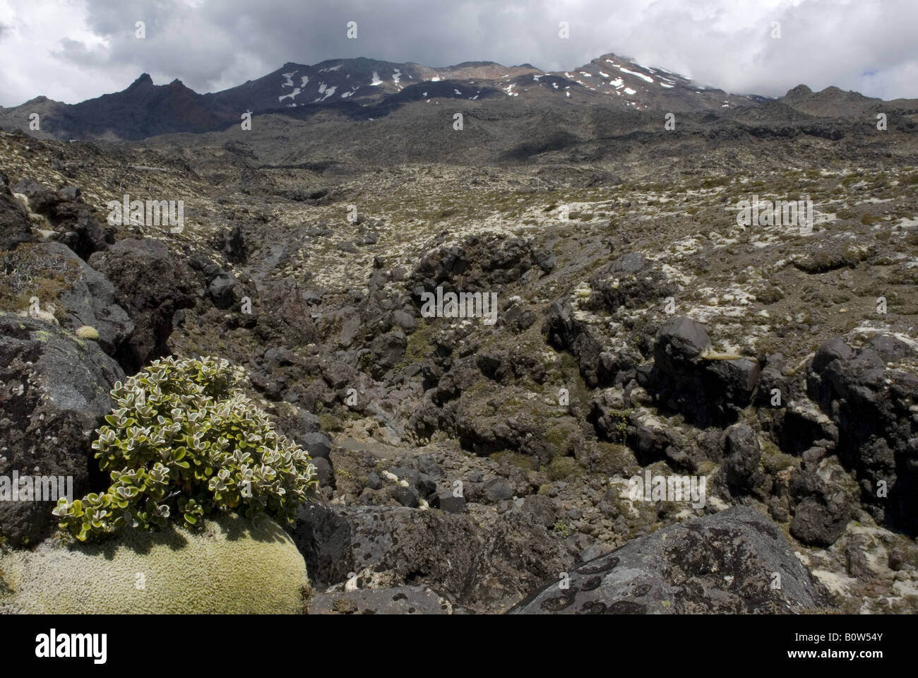 The relatively barren volcanic slopes of Mount Ruapehu in Tongariro National Park, New Zealand Stock Photo
