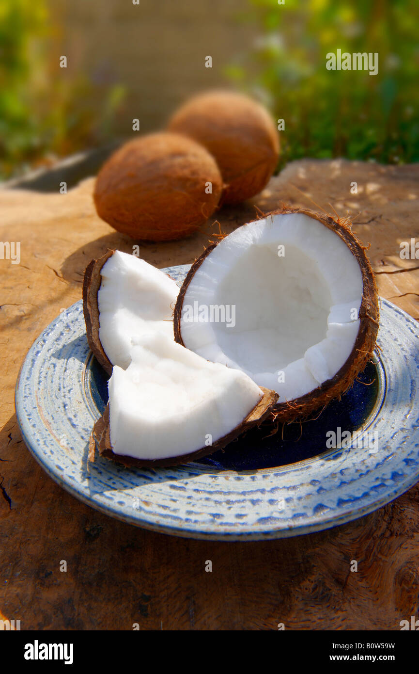 Fresh broken coconut , whole and open on a table in a garden setting Stock Photo