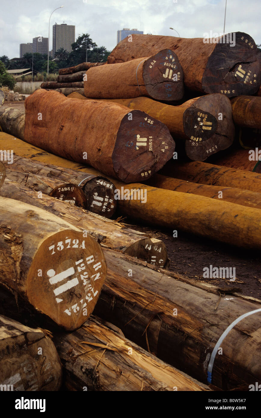 Abidjan, Ivory Coast, Cote d'Ivoire, West Africa. Tropical Timber ...