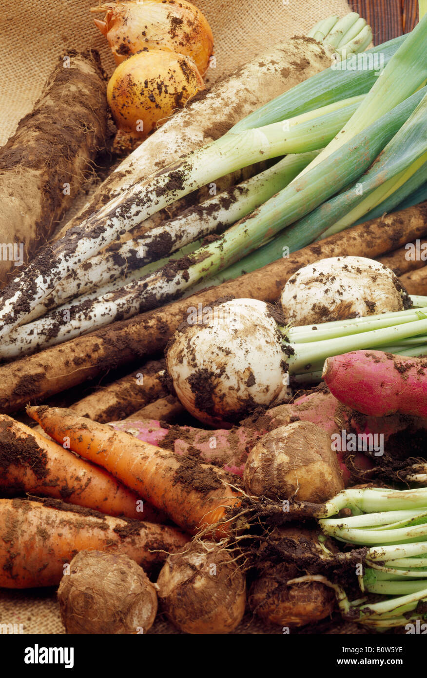 Vegetables with dirt on Stock Photo Alamy