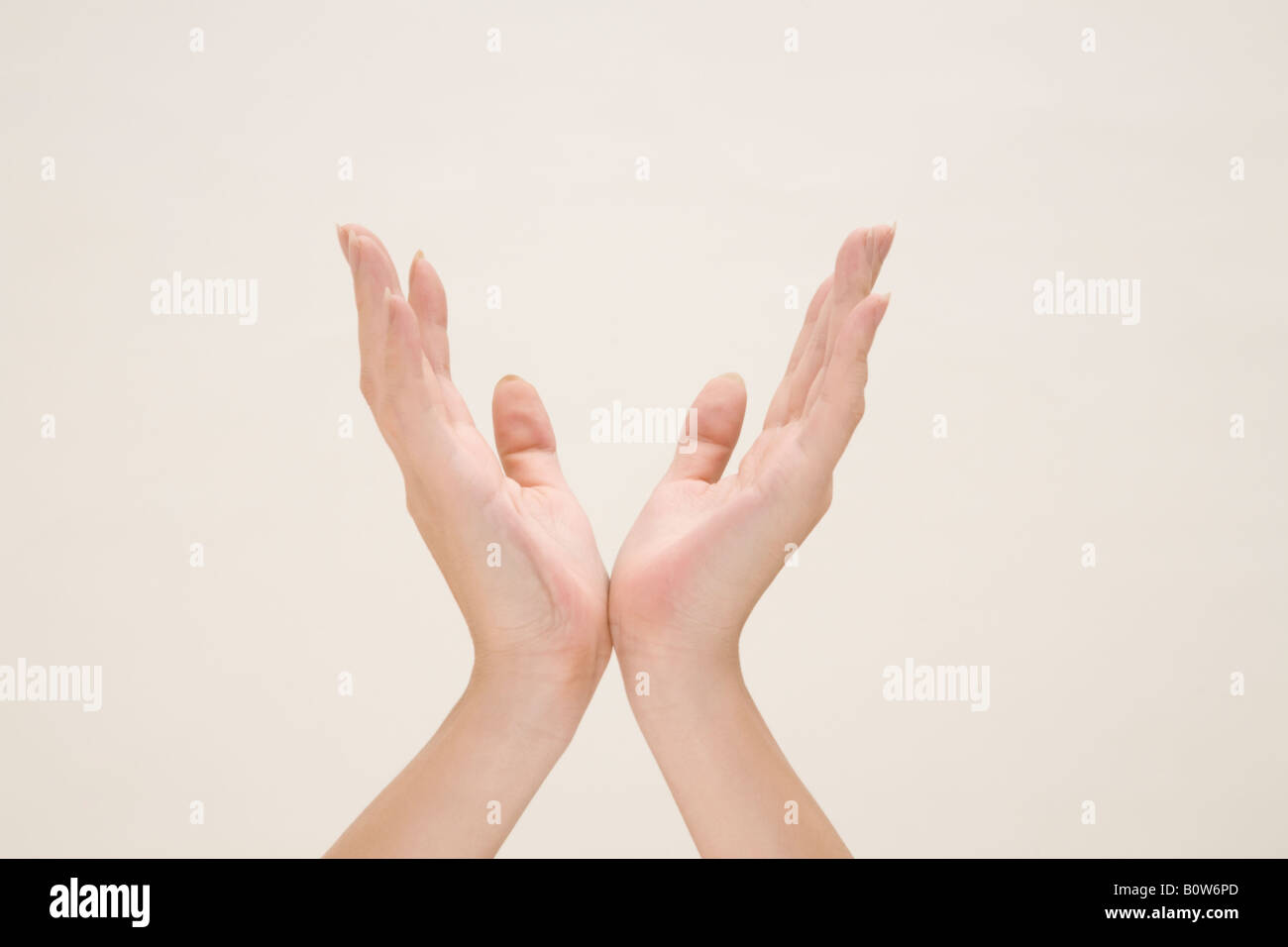 Woman's hands Stock Photo