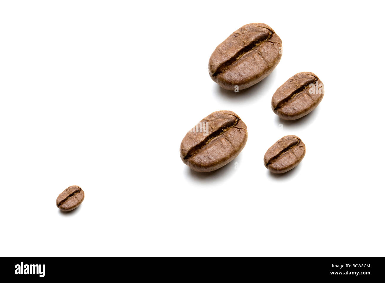 Coffee beans, various sizes Stock Photo