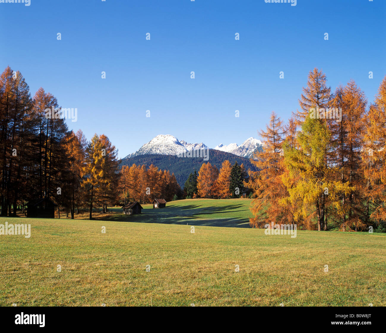 Mieming Plateau, Tyrol, Austria, Europe Stock Photo