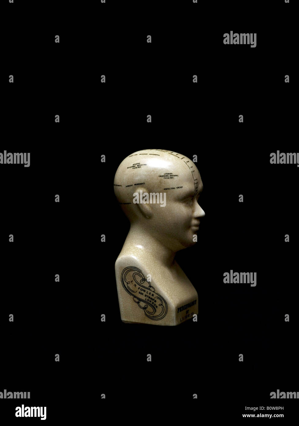 Ceramic Phrenological Head Stock Photo