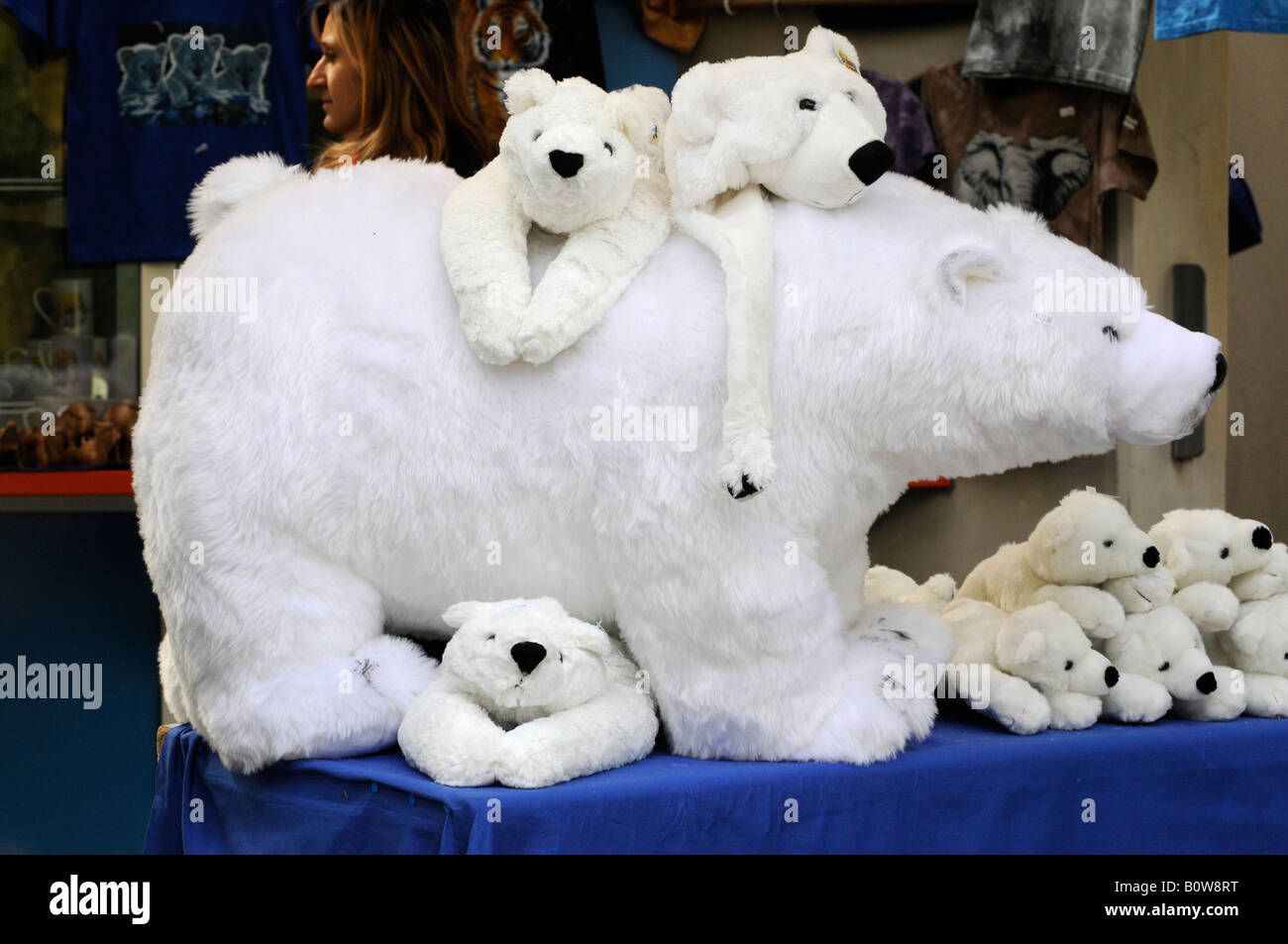 Flocke the Polar Bear Cub, stuffed animals, Tierpark Nuremberg, Nuremberg Zoo, Germany, Europe Stock Photo