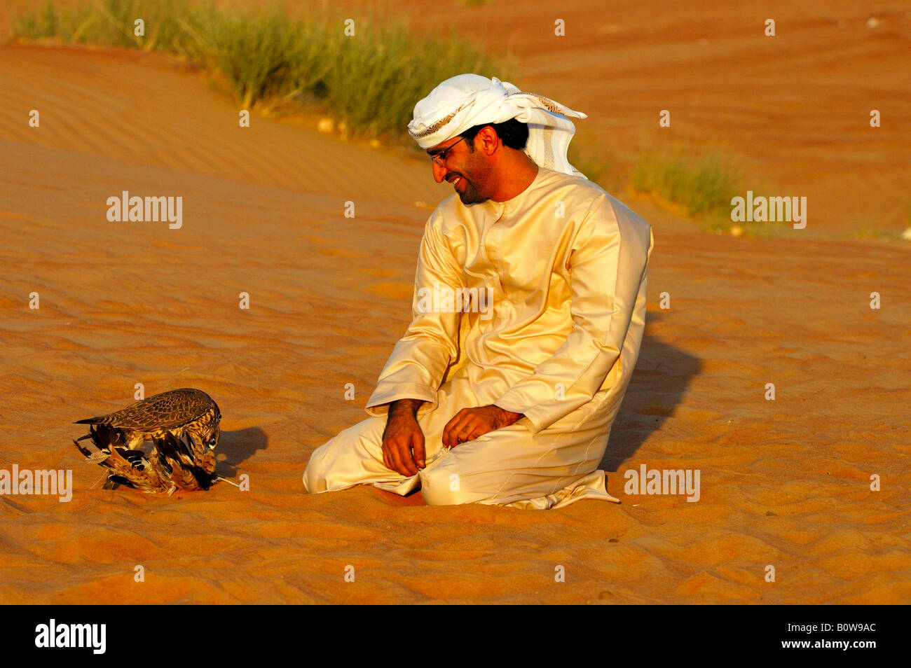 Arabian falconer and his hunting falcon in the desert sand, Dubai, United Arab Emirates, UAE, Middle East Stock Photo