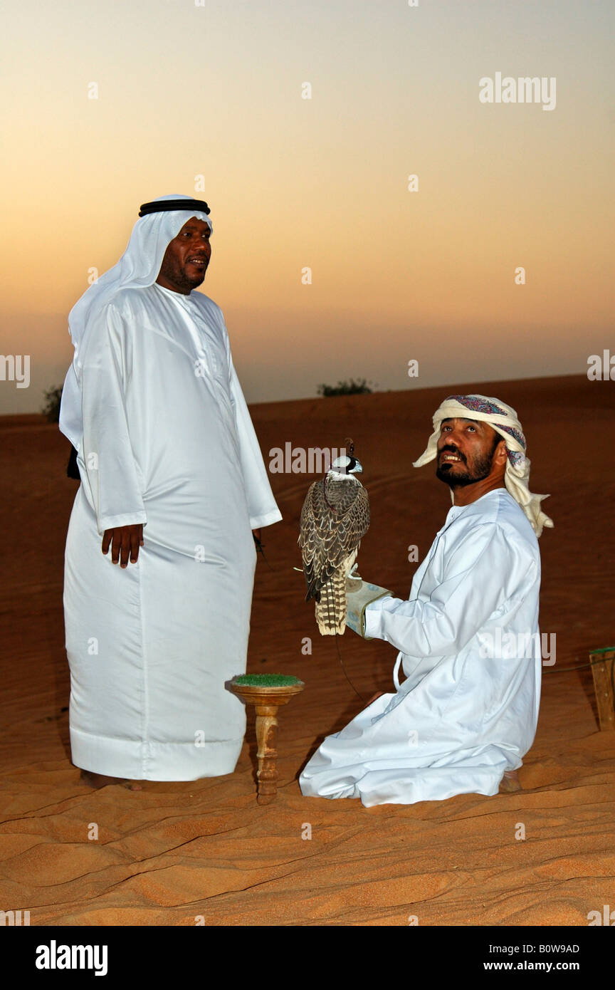 Two Arabian falconers training their falcons at dusk, Dubai, United Arab Emirates, UAE, Middle East Stock Photo