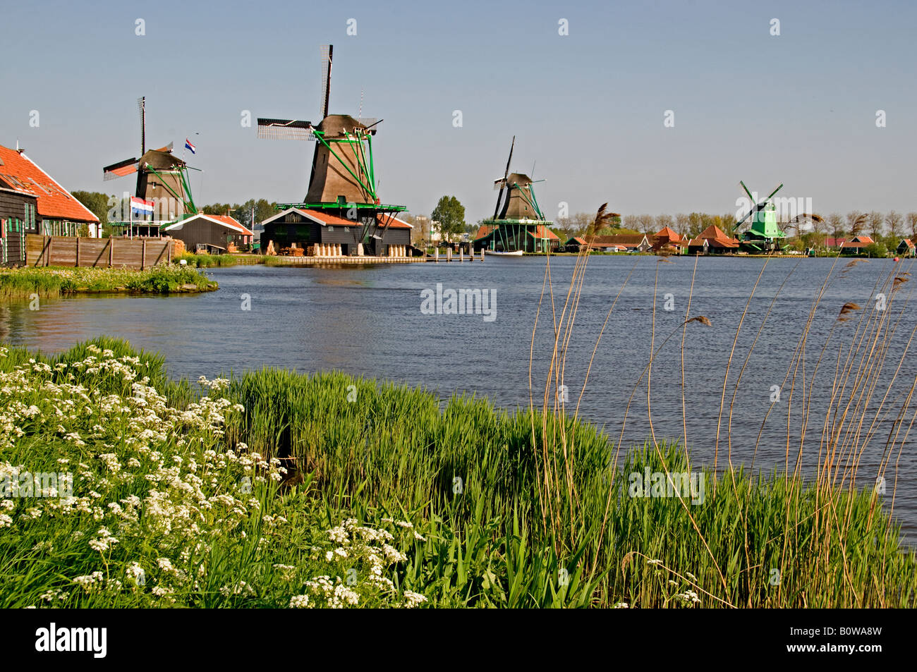Netherlands Village Zaanse Schans Noord Holland North Holland Zaandam Dutch Windmills Windmill industrial energy power Stock Photo