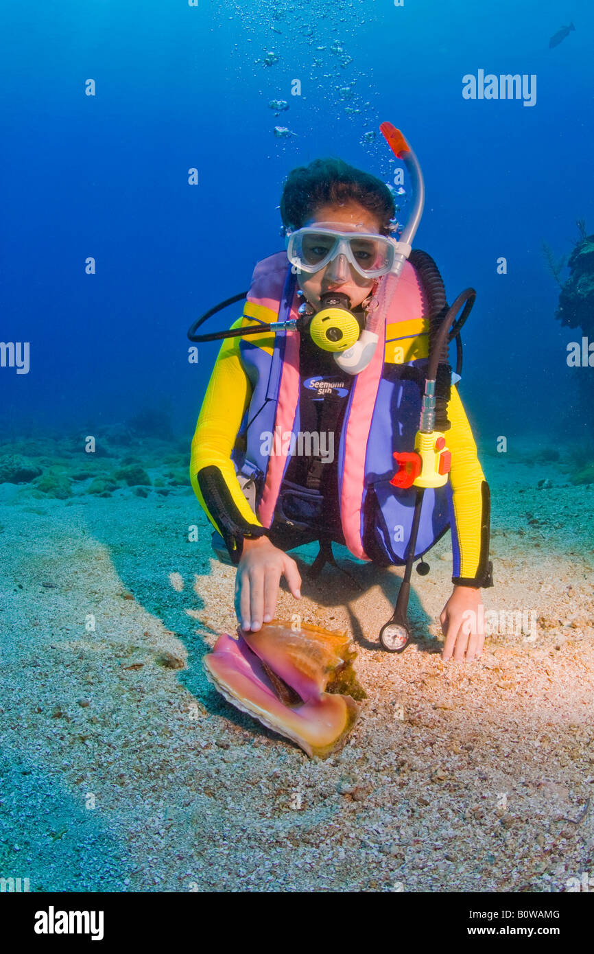 Young female scuba diver who's found a seashell, conch shell, Roatan, Honduras, Caribbean Stock Photo