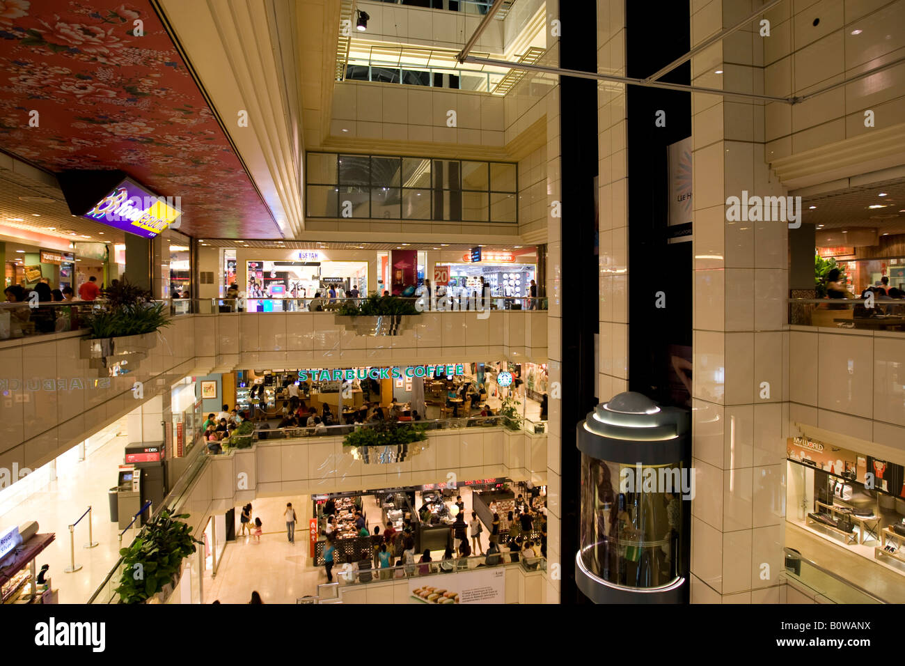 Timberland Singapore Expo Vans Sale Singapore 2018 PARAGON (2025